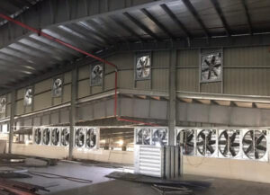 Hệ thống nhà xưởng lắp đặt quạt thông gió vuông