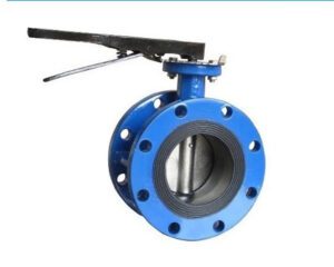Van cánh bướm mặt bích