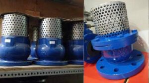 Rọ hút D100 nối bích