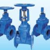 Van cổng DN100