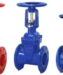 Van cổng DN50 Shinyi
