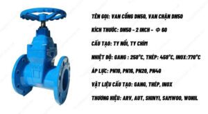 Van cổng DN50 Shinyi ty chìm