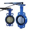Van bướm tay gạt dn100