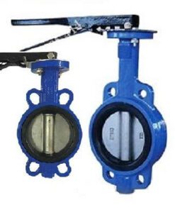 Van bướm tay gạt dn100