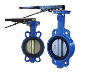 Van bướm tay gạt dn100