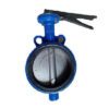 Van bướm tay gạt dn200