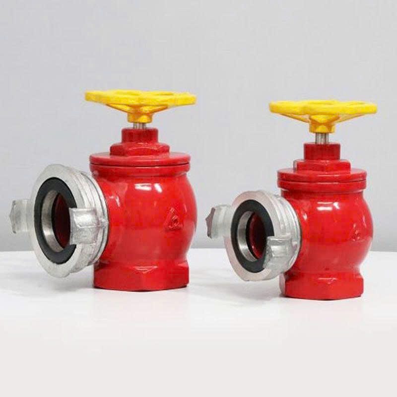 Báo giá van góc chữa cháy d50