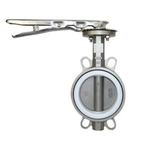 Van bướm inox dn65