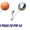 Phao cơ phi 42