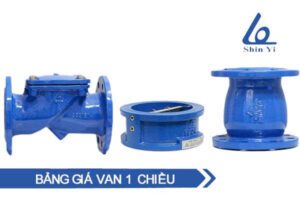 Phân loại van 1 chiều DN100