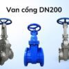 Van cổng dn200