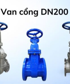 Van cổng dn200
