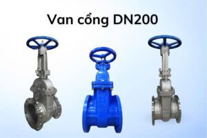 Van cổng dn200