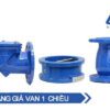 Van 1 chiều shinyi gang