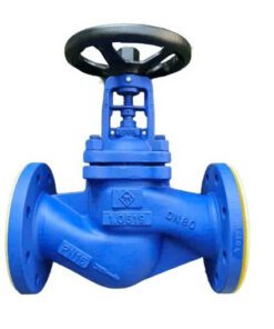 Van cầu DN80